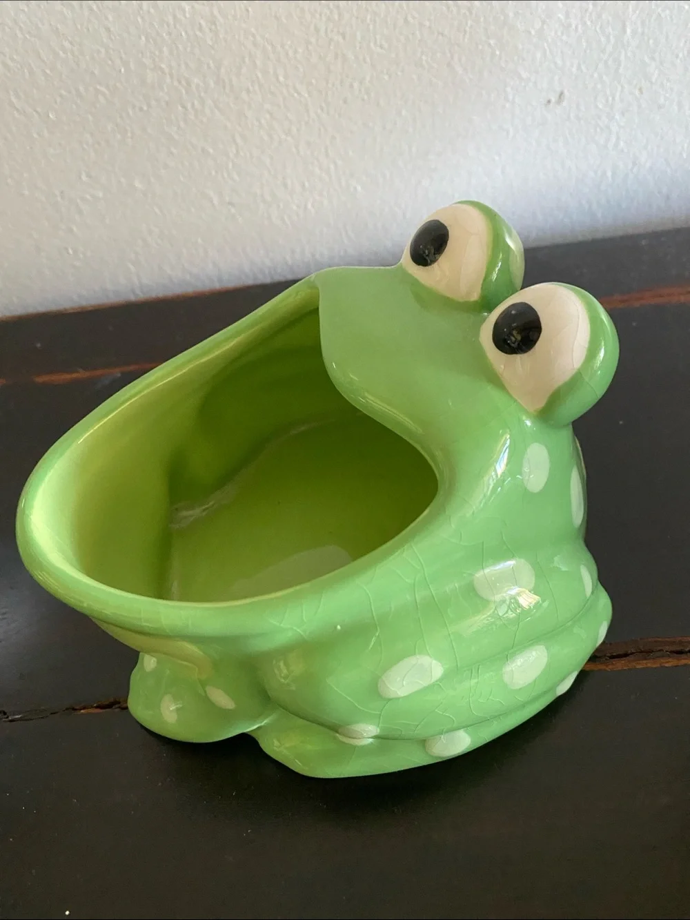 Fun Frog planter pot Ceramic